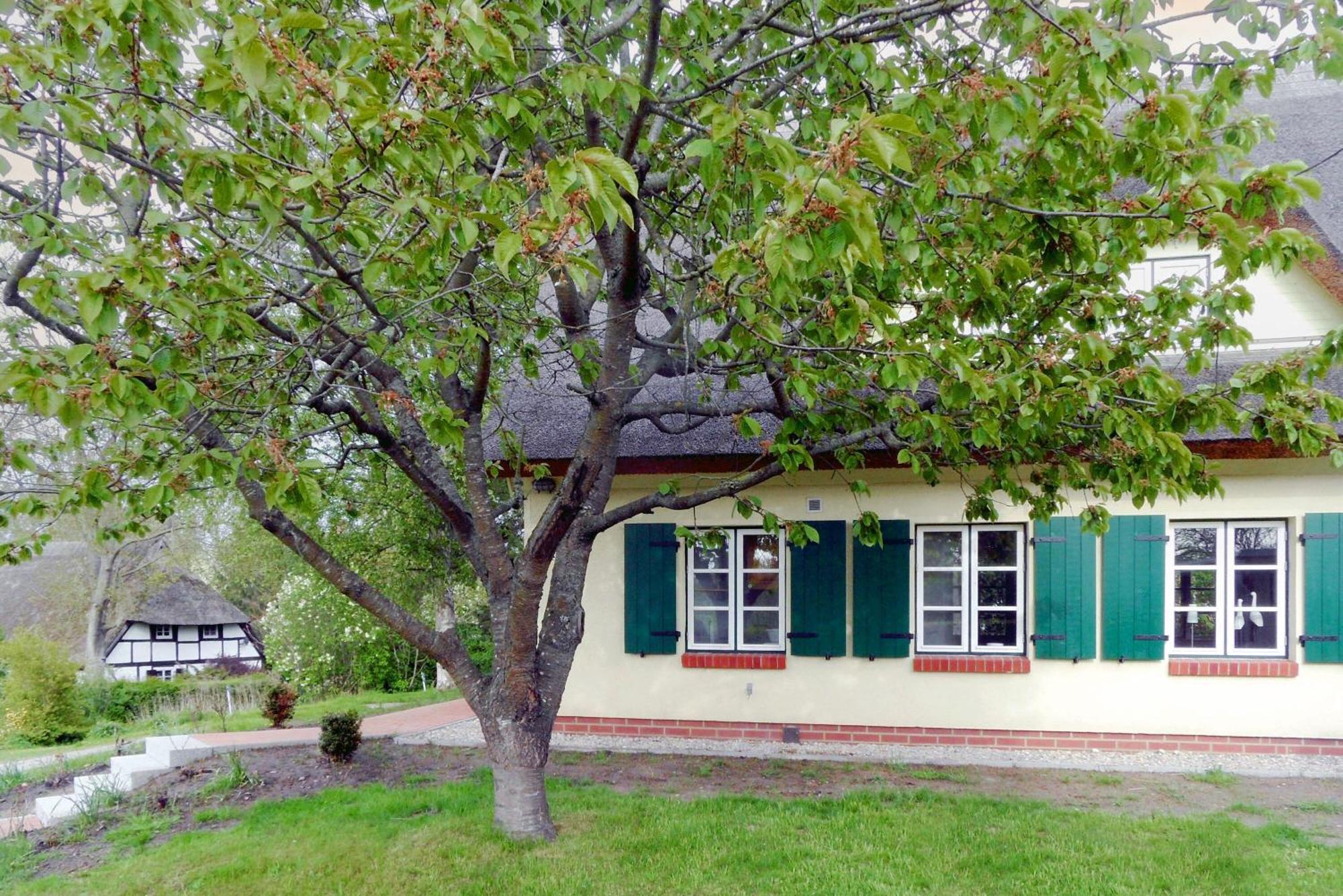 Ferienhaus Preetz 1A - Idylle Unter Reet Burtevitz Extérieur photo