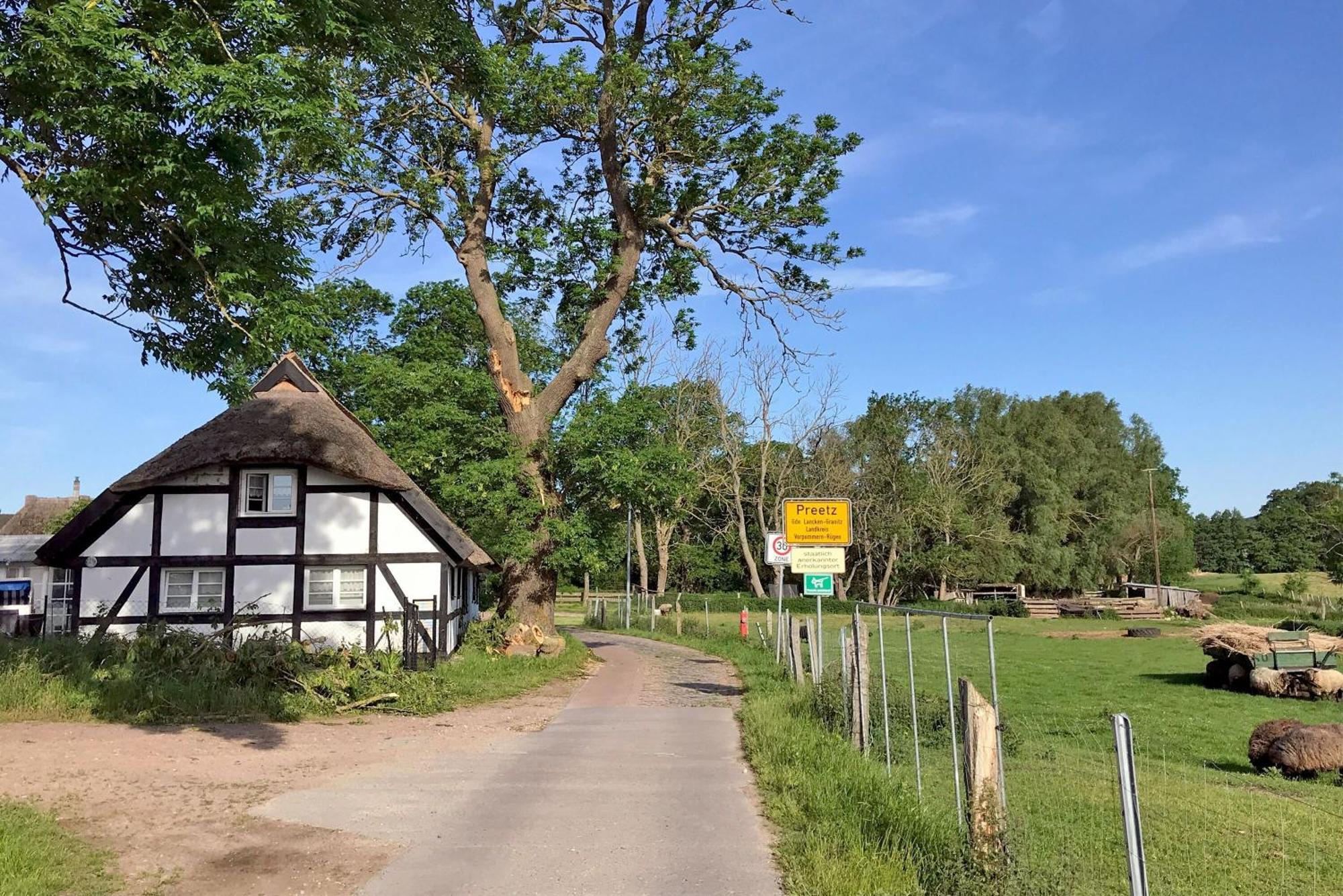 Ferienhaus Preetz 1A - Idylle Unter Reet Burtevitz Extérieur photo